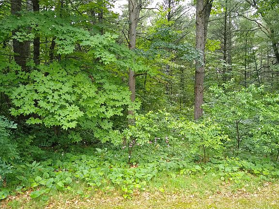 5th image of 3599 County Road 612