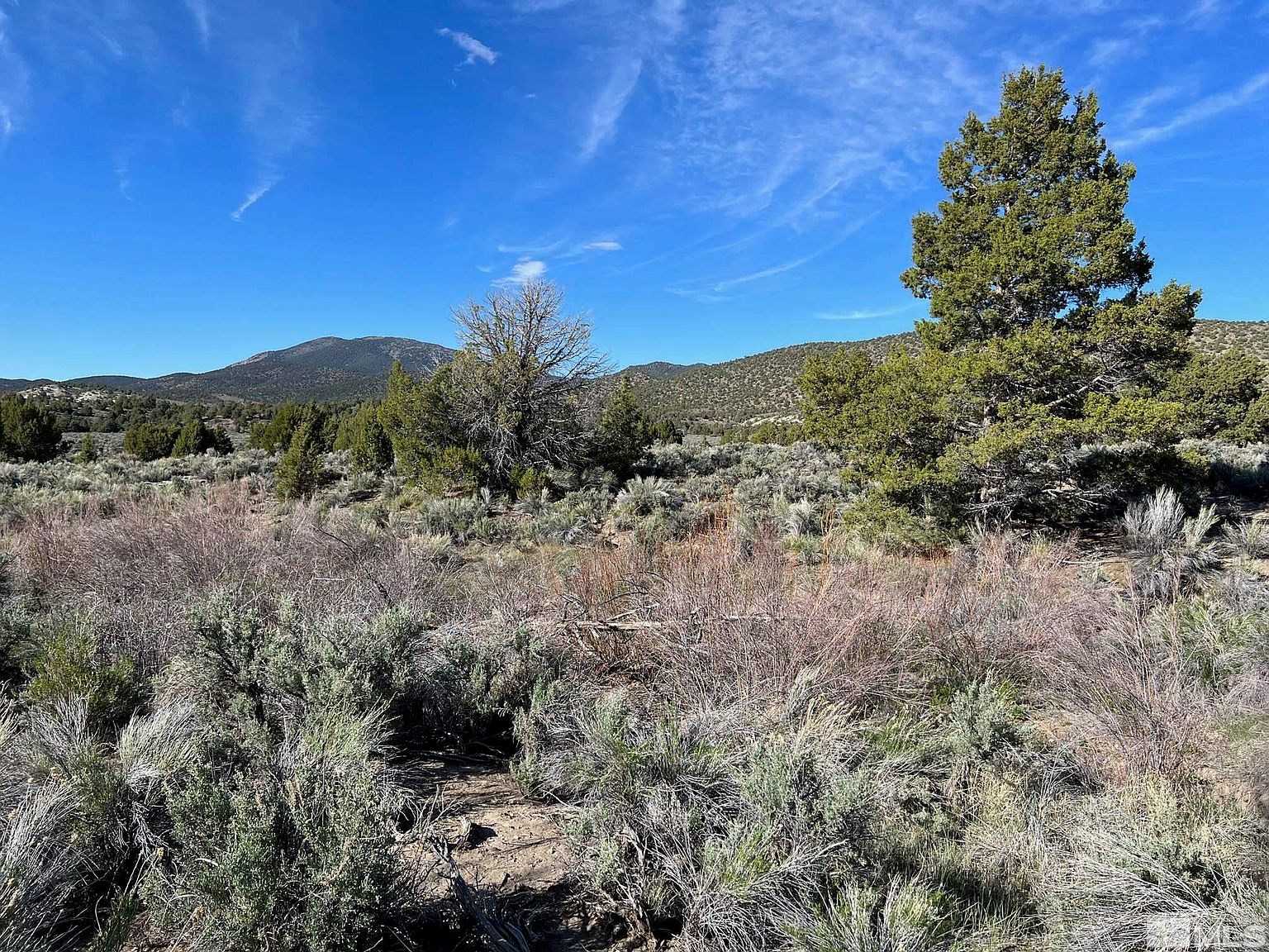 Pine Nut Mountains 53, Gardnerville, NV 89410 MLS 220009814 Zillow