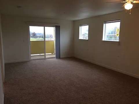1017 SE 12th Ave — Photo 215