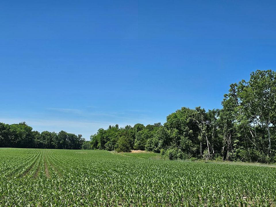 1st image of 710 Pea Ridge Ln