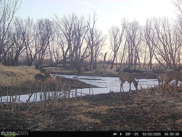 1st image of 484th Ln