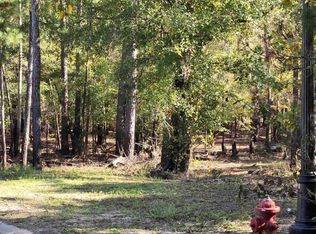 361 Cypress Flat Ct, Conway, SC 29526