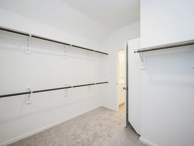 26811 Tree Mallow Dr — Photo 15