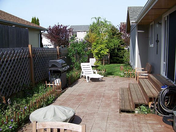 Back yard