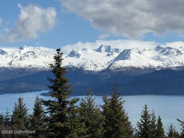 51153 Trail Mountain Rd, Homer, AK 99603