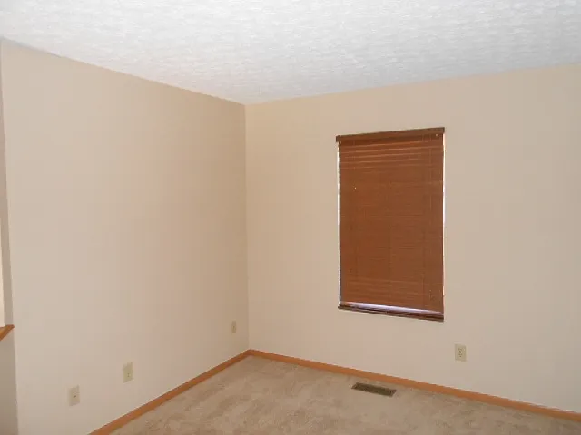 7468 Tyler Henry Ct — Photo 10