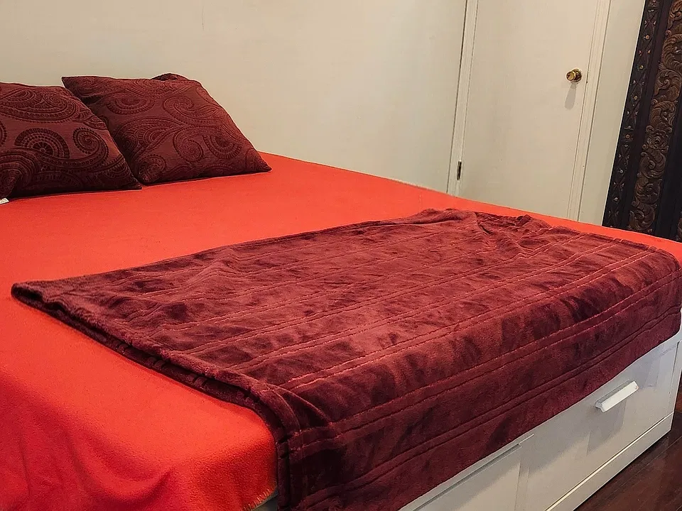 Basement Bed Media Closet closed