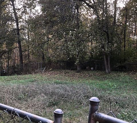 3rd image of 613 Kilborne Dr