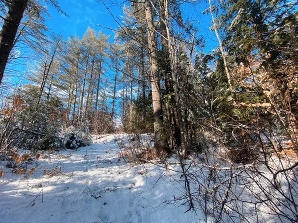 Lot 2A Grubb Smith Knoll, Milton Twp, ME 04219