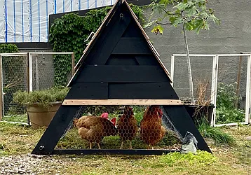 Rented by Owen C Wright, LREB