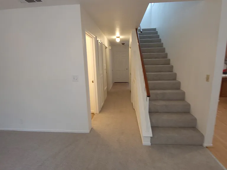 1011 Camphor St — Photo 5