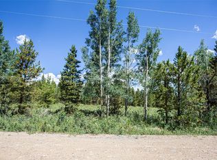 75 Calf Ln, Fairplay, CO 80440