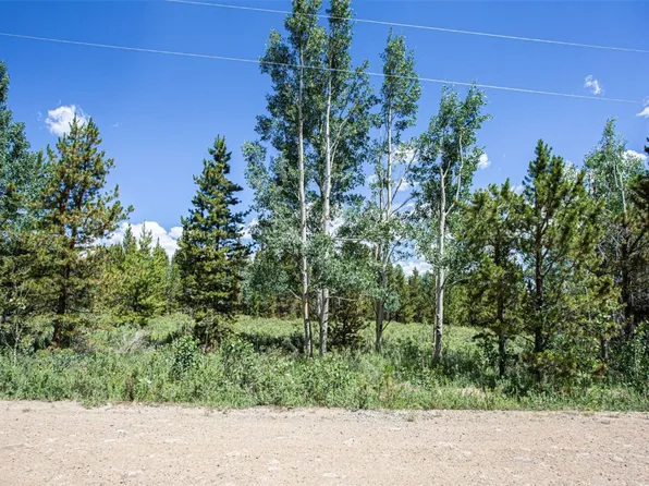 75 Calf Lane, Fairplay, CO 80440