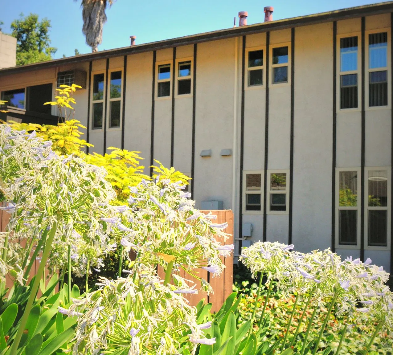 Camelback South Apartments — Photo 3