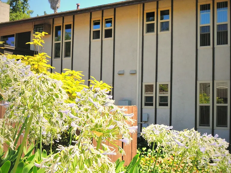 Camelback South Apartments — Photo 3