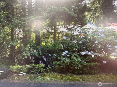 5505 34th Avenue SE, Lacey, WA, 98503