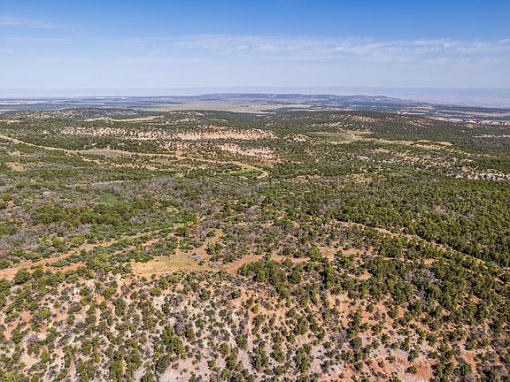 5th image of Tbd Elk Reserve Rd