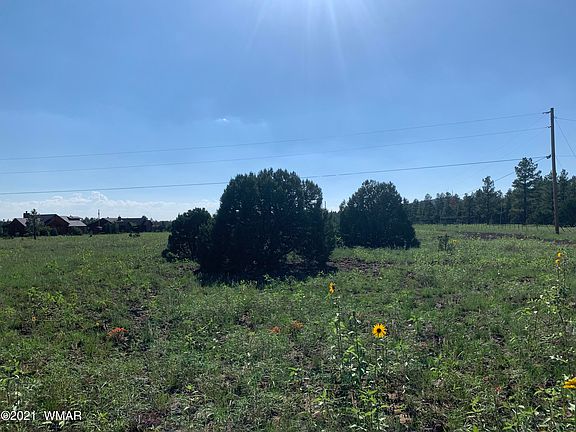5th image of 9367 Mountain Meadow Ln