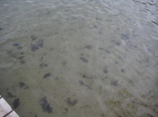 33176 S Cotton Lake Rd, Rochert, MN 56578