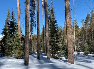 439 Kings Crossing Rd, Winter Park, CO 80482