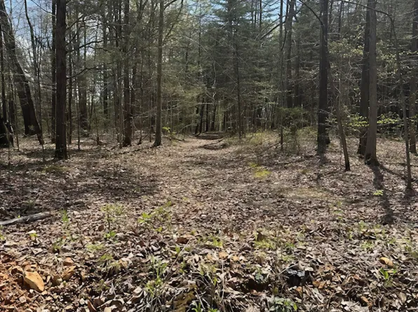 3601 Bowker Rd, Charlotte, TN 37036