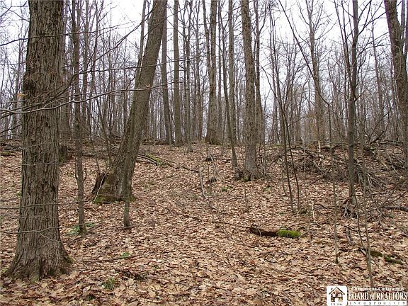 2nd image of Homestead Rd