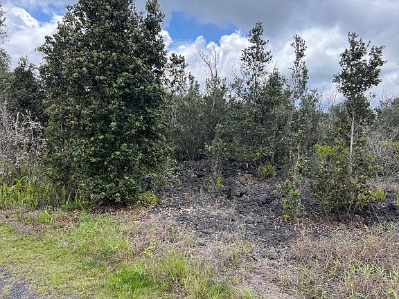 2nd image of Lot 24
