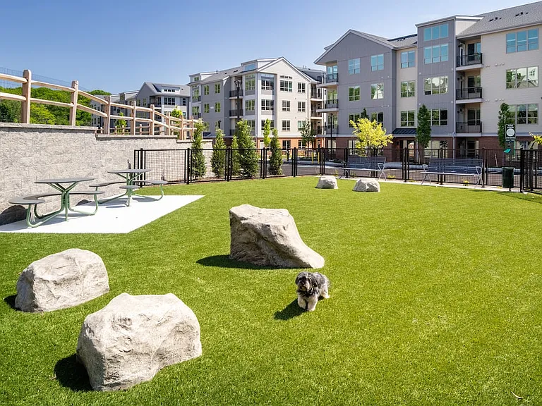 WAG Pet Park