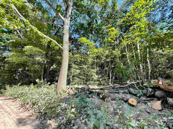 15-3 North Road, Deering, NH 03244