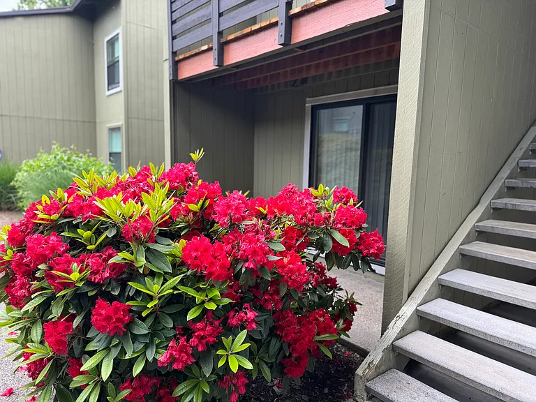 Meridian Village — Photo 22