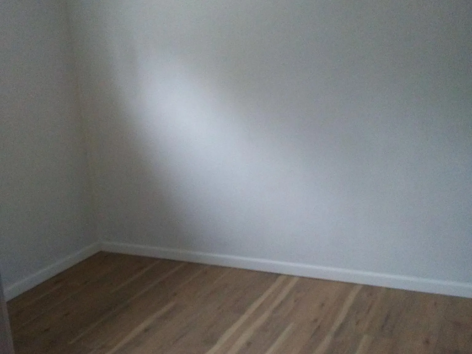 2 bed, 850 sqft, $825 — Photo 3
