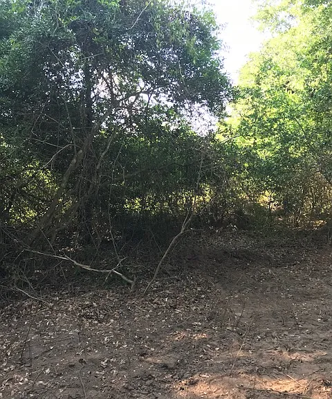 Manuel Rd — Photo 30