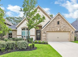 126 Cliftons Curve Way, Montgomery, TX 77316
