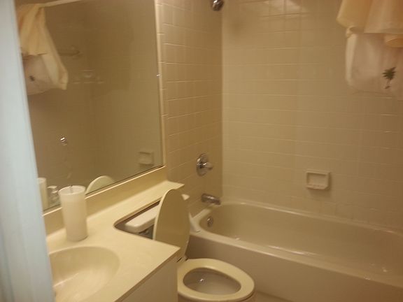 5th image of 1526 Trafalgar Ln
