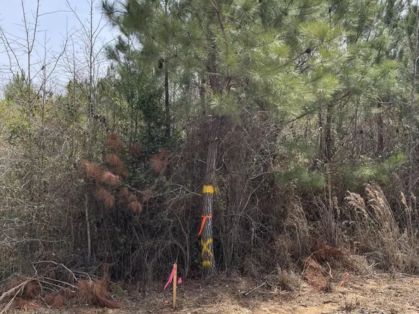 13675 Hosmer Rd #1, Vance, AL 35490