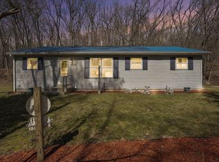 8260 Palmer Rd, Belding, MI 48809