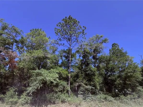 0 NE 90th Ave Lot 14-A, Bronson, FL 32621
