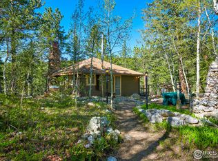 3497 Coal Creek Canyon Dr #14, Nederland, CO 80471