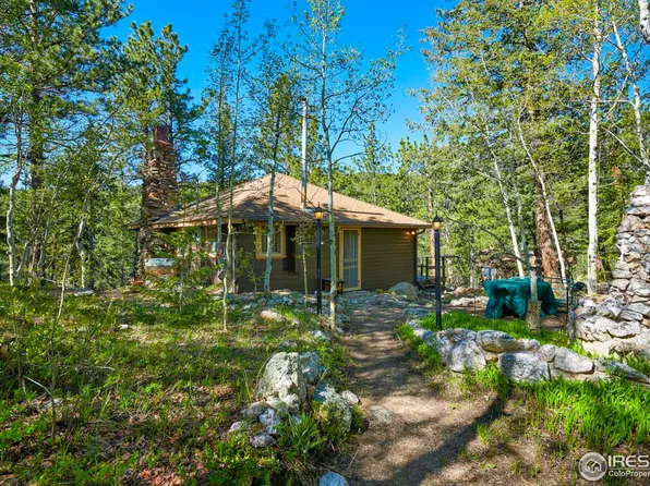 3497 Coal Creek Canyon Dr #84, Pinecliffe, CO 80471