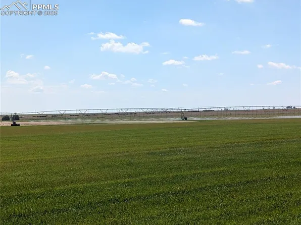 23500 County Road 5, Rush, CO 80833