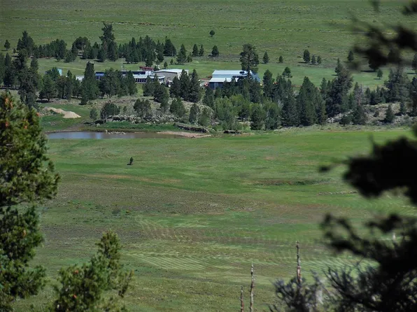 777 Forest Rd #87, Tres Piedras, NM 87577