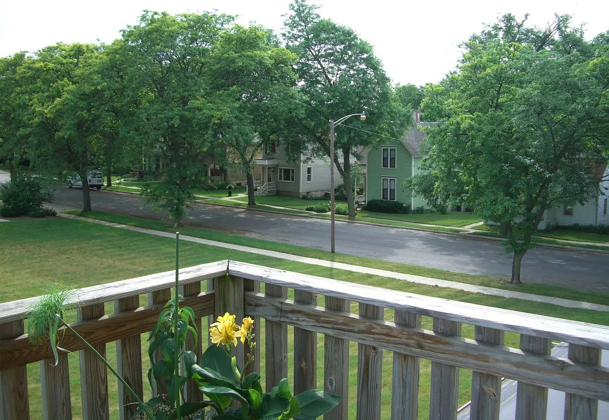 409 Hill Street — Photo 3