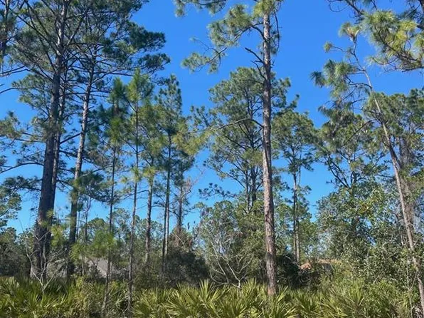 36 Seagoing Trl Lot 25, Palm Coast, FL 32164