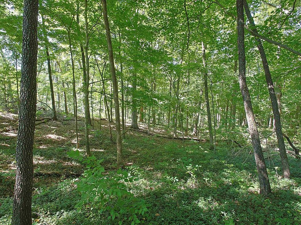 2nd image of Eastland Rd