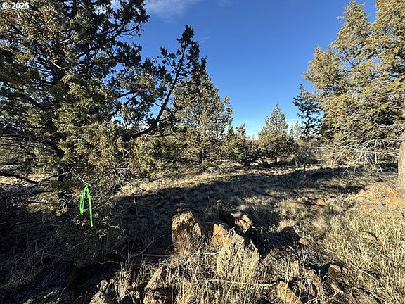 3rd image of Canvasback Dr #5