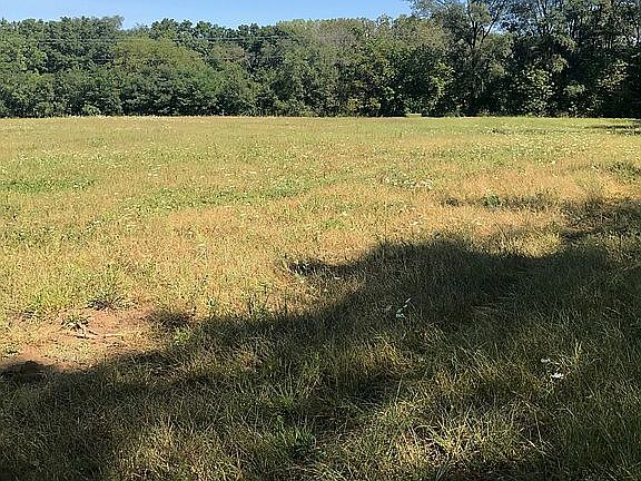 Looking to the North.