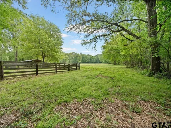 Vz County Road 4505, Ben Wheeler, TX 75754