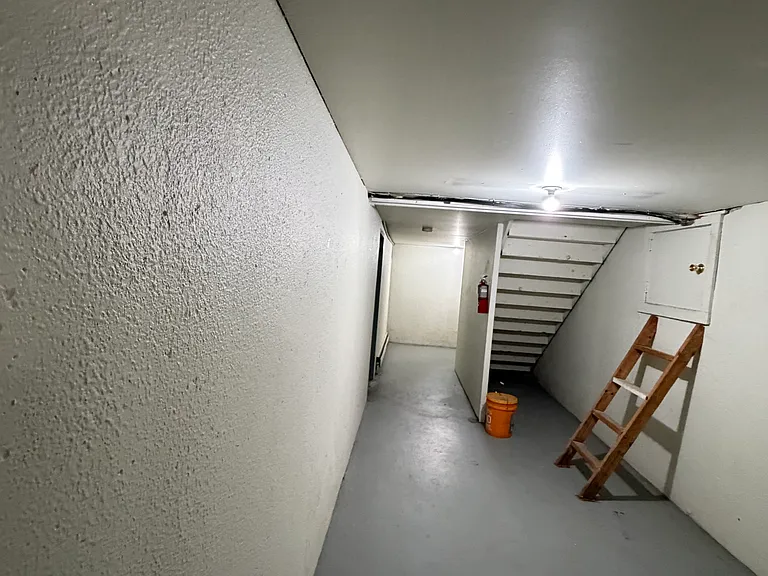Basement Area
