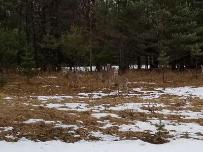 River Dr LOT D, Gaylord, MI, 49735