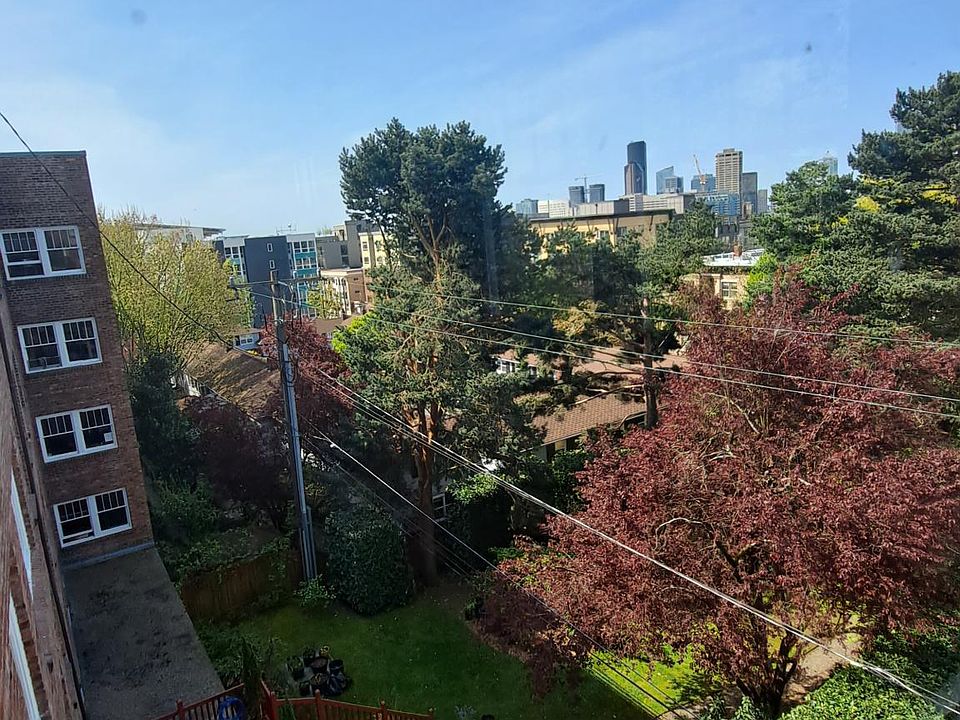 City skyline and back yard view from living room corner window.